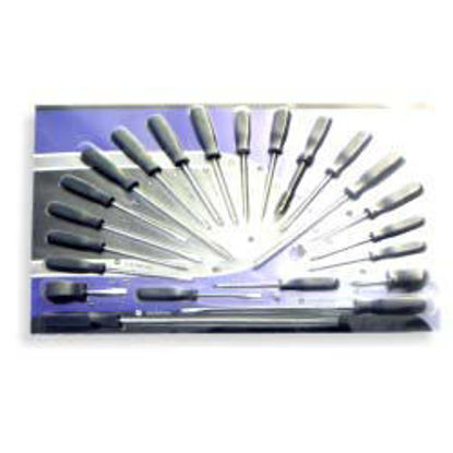 Picture of 22pc Screwdriver-Black