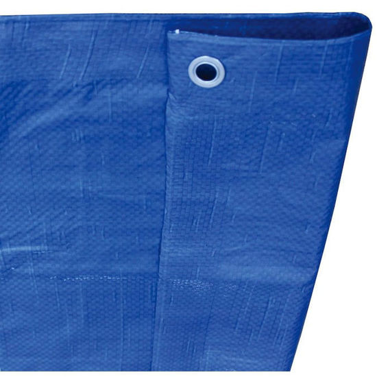 Picture of 50-ft x 100-ft Blue Standard Polyethylene Tarp