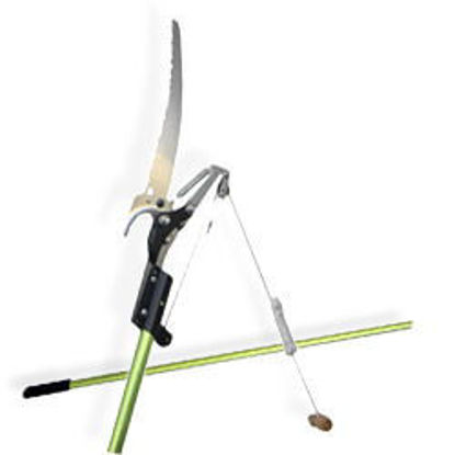 Picture of Pole Pruner w/Telescopic Handle