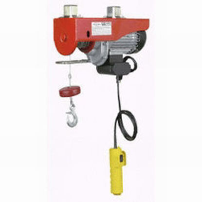 Picture of 400 lb Elector Hoist