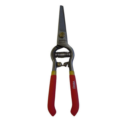 Picture of 8" Pruning Shears Straight