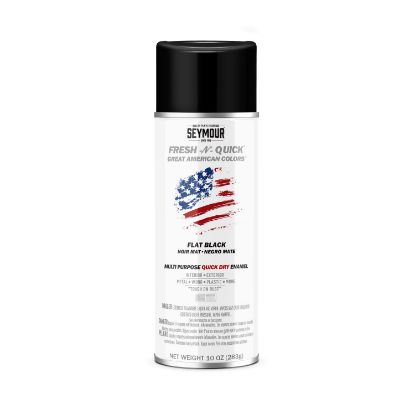 Picture of Spray Paint Flat Black 11-10